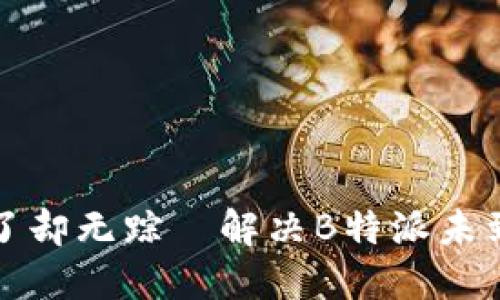 别让币转了却无踪—解决B特派未到账的难题