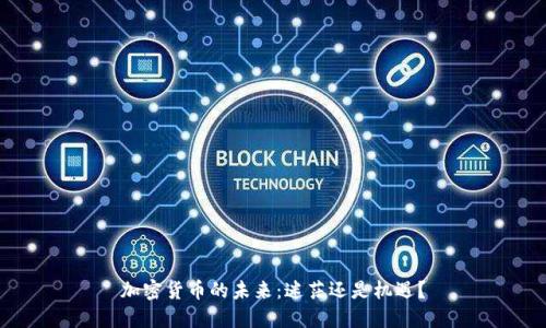 加密货币的未来：迷茫还是机遇？