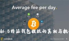 揭秘：B特派钱包提现的真相与挑战！