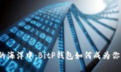 在数字货币的海洋中：BitP钱包如何成为你的安全