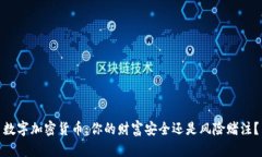 数字加密货币：你的财富安全还是风险赌注？