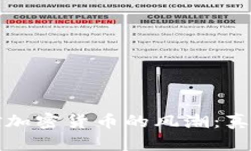 谁在操控加密货币的风潮：真相与谜团