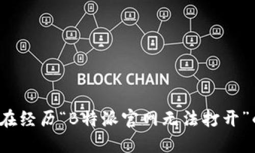 你是否在经历“B特派官网无法打开”的烦恼？