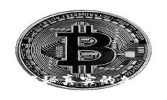 从失败到成功：揭秘真实的加密货币成功案例