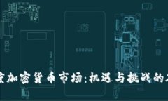 印度加密货币市场：机遇与挑战的碰撞