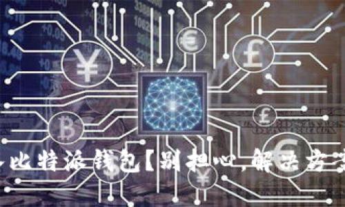 无法登入比特派钱包？别担心，解决方案在这里！