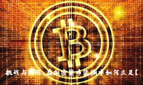 挑战与机遇：在加密货币浪潮中如何立足？