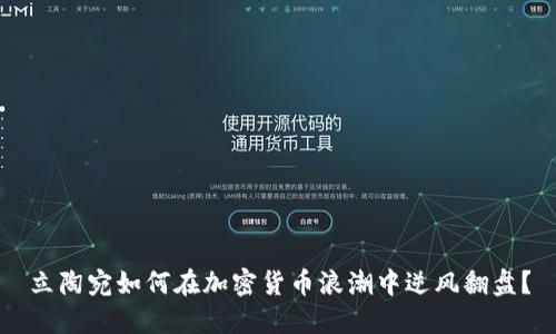 立陶宛如何在加密货币浪潮中逆风翻盘？