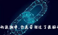 在加密货币的浪潮中，你是否错过了最好的投资