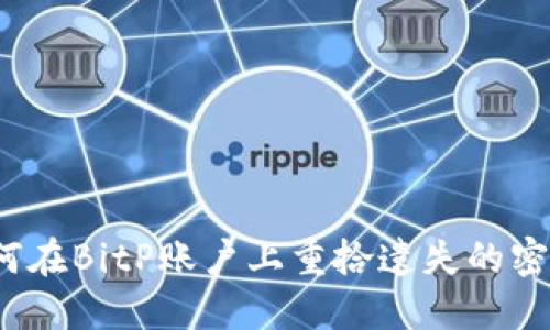 如何在BitP账户上重拾遗失的密码？