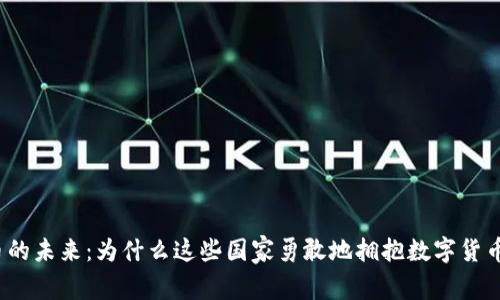 加密货币的未来：为什么这些国家勇敢地拥抱数字货币的浪潮？