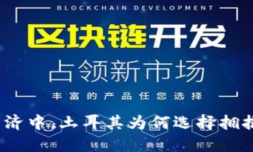 在动荡的经济中，土耳其为何选择拥抱加密货币？