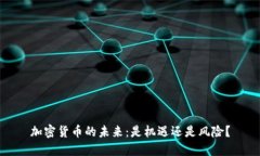 加密货币的未来：是机遇还是风险？