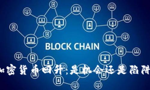 加密货币回升：是机会还是陷阱？