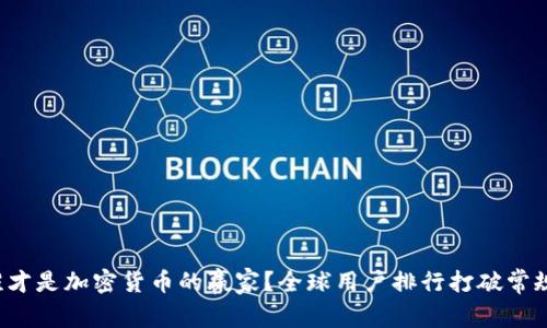 谁才是加密货币的赢家？全球用户排行打破常规！