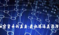 加密货币的未来：是机遇还是陷阱？