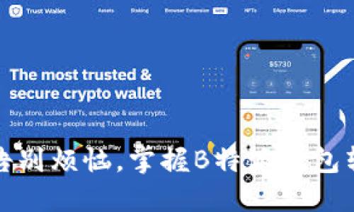 轻松转账：告别烦恼，掌握B特派钱包转账全攻略！