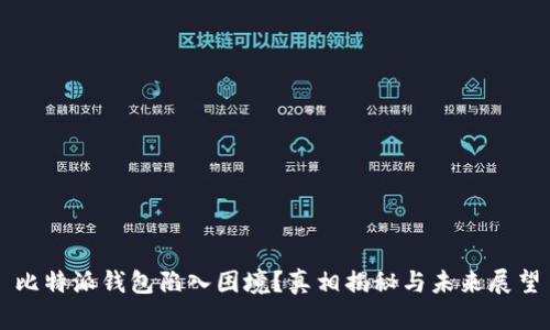 比特派钱包陷入困境？真相揭秘与未来展望