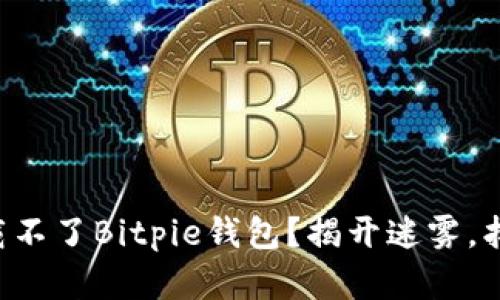 为什么你下载不了Bitpie钱包？揭开迷雾，找到解决方案！
