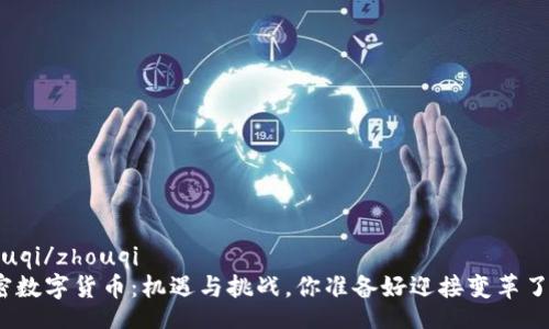 zhouqi/zhouqi  
加密数字货币：机遇与挑战，你准备好迎接变革了吗？