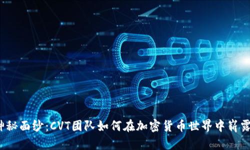 揭开神秘面纱：CVT团队如何在加密货币世界中崭露头角？