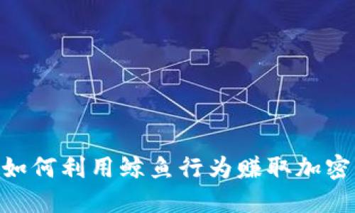 揭秘“鲸鱼”策略：如何利用鲸鱼行为赚取加密货币的投资收益？