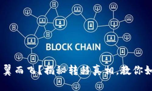 “B特派不翼而飞？揭秘转移真相，教你如何追踪！”