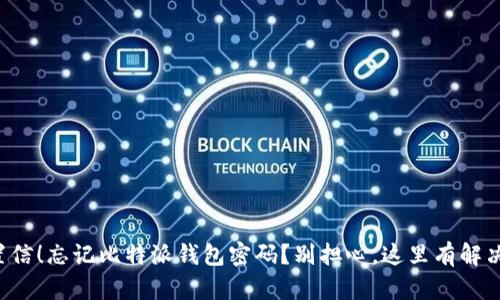 难以置信！忘记比特派钱包密码？别担心，这里有解决方案！