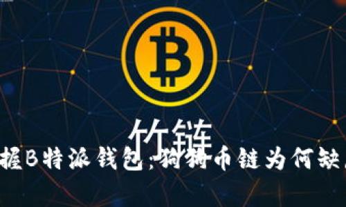 掌握B特派钱包：狗狗币链为何缺席？