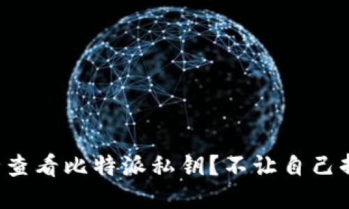 如何安全查看比特派私钥？不让自己掉入误区！