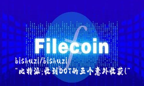 bishuzi/bishuzi
“比特派：收到DOT的五个意外收获！”