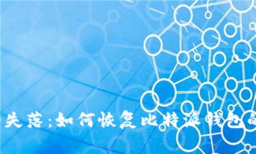 钱包删除的失落：如何恢复比特派钱包的正常使用？