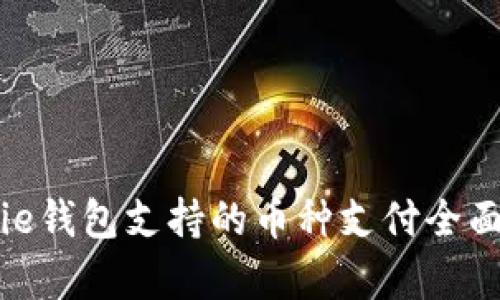 Bitpie钱包支持的币种支付全面解析