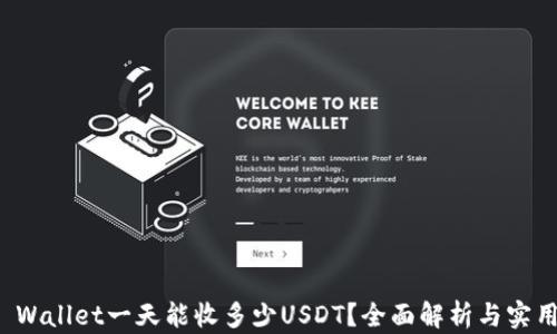 
BitP Wallet一天能收多少USDT？全面解析与实用技巧