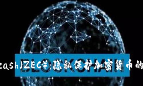 深入了解Zcash（ZEC）：隐私保护加密货币的应用与未来