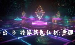 如何安全导出 B 特派钱包私钥：步骤与注意事项