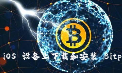 如何在 iOS 设备上下载和安装 Bitpie 钱包