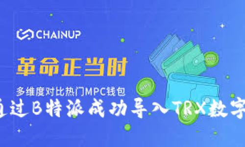 如何通过B特派成功导入TRX数字资产？