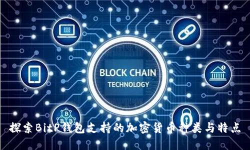 探索BitP钱包支持的加密货币种类与特点