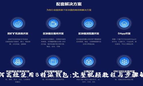 如何高效使用B特派钱包：完整视频教程与步骤解析