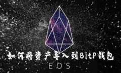 如何将资产导入到BitP钱包