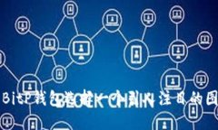 为您的BitP钱包选择一个引人注目的图标名称