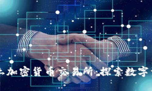 新加坡本土加密货币交易所：探索数字资产的未来