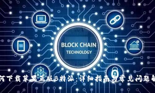 如何下载苹果正版B特派：详细指南与常见问题解答