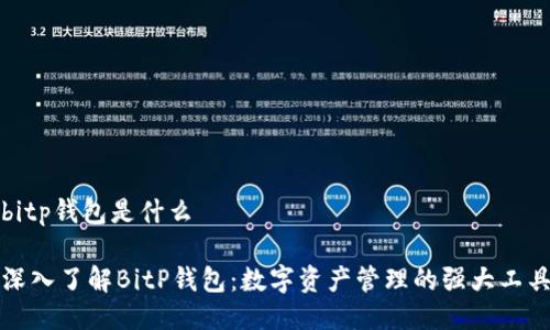 bitp钱包是什么

深入了解BitP钱包：数字资产管理的强大工具