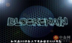 如何在iOS设备上下载和安装BitP钱包