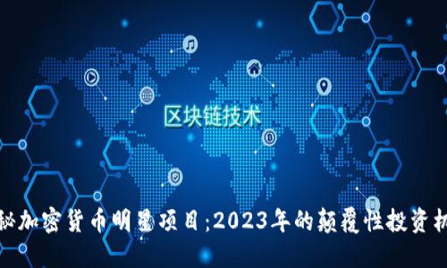 揭秘加密货币明星项目：2023年的颠覆性投资机会