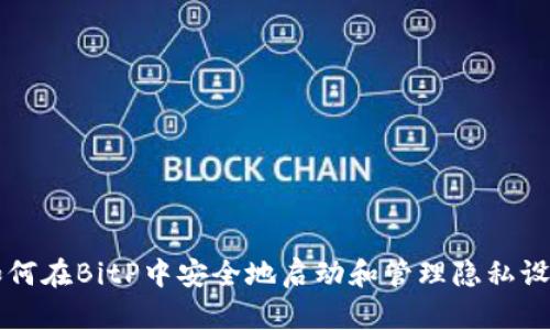 如何在BitP中安全地启动和管理隐私设置