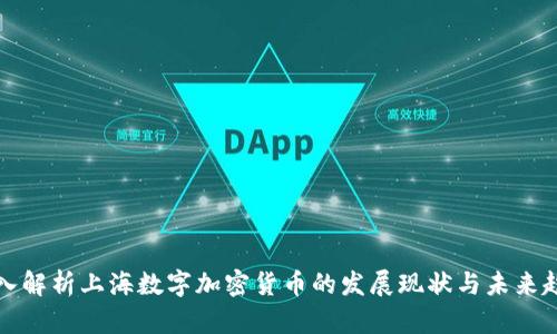 深入解析上海数字加密货币的发展现状与未来趋势