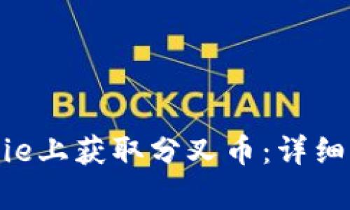 如何在Bitpie上获取分叉币：详细指南与策略